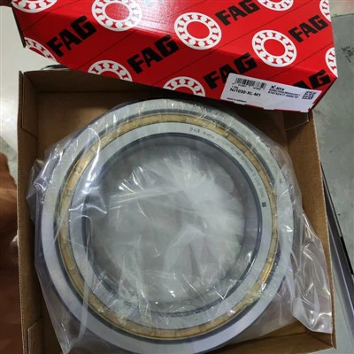 Двуредни цилиндрични ролкови лагери